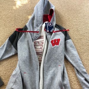 Wisconsin Madison Champion Hoodie